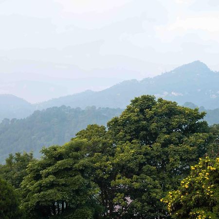 The Fern Surya Resort Kasauli Hills, Dharampur Ngoại thất bức ảnh